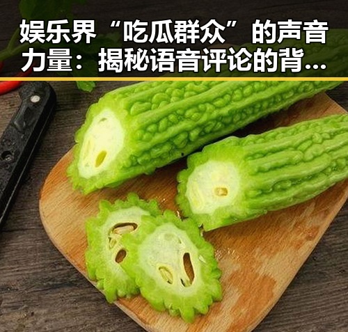 娱乐界“吃瓜群众”的声音力量：揭秘语音评论的背后故事